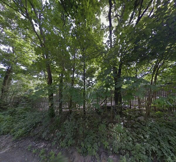 Банкомат Сбербанка России в Санкт-Петербурге, пос. Рощино, ул. Шалавина, д. 49, оф. банка