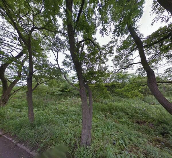 Банкомат МТС-Банка в Владивостоке, проспект 100-летия Владивостока 57д