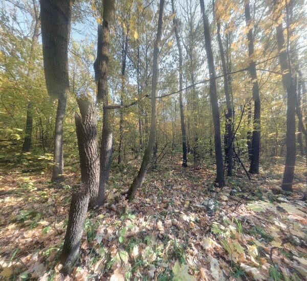 Банкомат Сбербанка России в Самаре, ул. Советской Армии, д. 253, лит. А, «МТЛ-Арена»