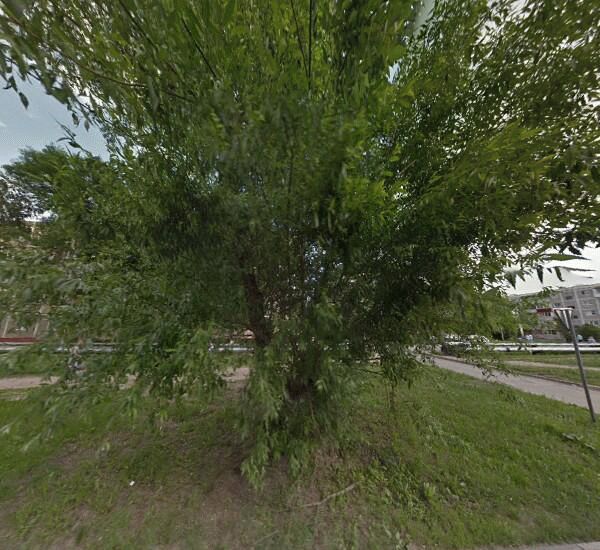 Отделение Сбербанка России в Москве, г. Луховицы, ул. Жуковского, д. 17