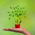 Поиски путей дохода