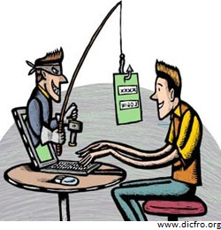 В России показатель интернет-мошенничества выше среднего