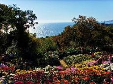 «Бархатный сезон» в банке «Возрождение»