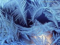 «Зимние узоры» под 8,9%